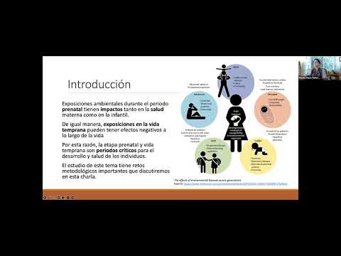 Seminario Web “Exposiciones prenatales y salud cardiometabólica en la infancia y la adolescencia”