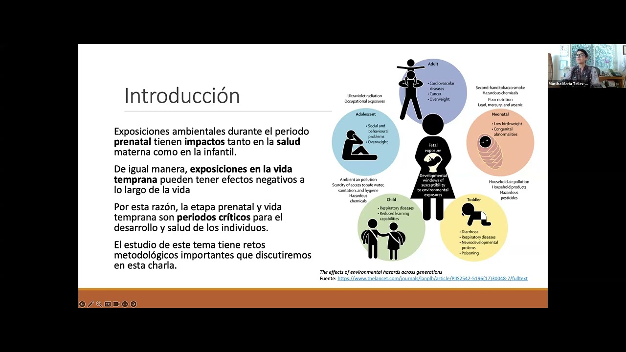 Exposiciones prenatales y salud cardiometabólica en la infancia y la adolescencia