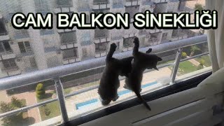 CAM BALKONA SİNEKLİK NASIL YAPILIR ?