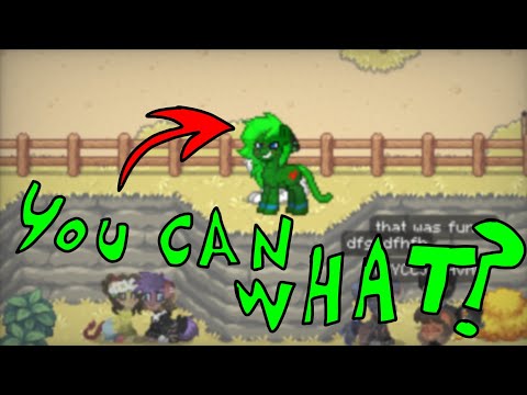 5 Things You Didn't Know About Pony Town