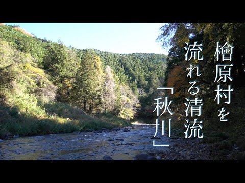 檜原村の風景「秋の秋川」【清流】【せせらぎ】