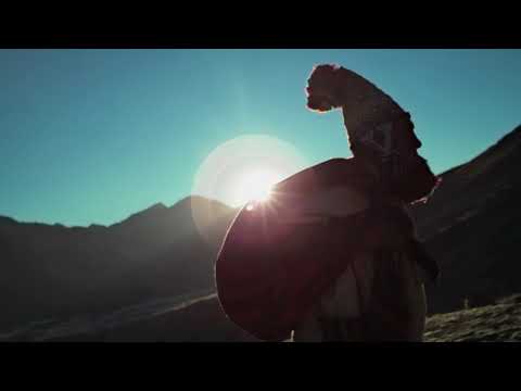 Falsos Maestros video