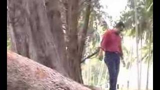 Download lagu jali bunga tanjung - kasih tok jujur mp3 Download lagu jali bunga tanjung - kasih tok jujur mp3