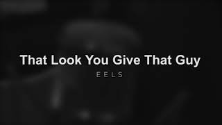 That Look You Give That Guy - Eels | subtitulada al español