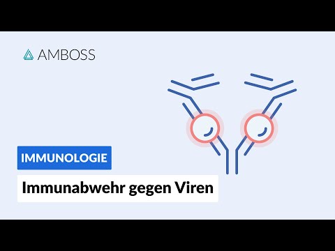 Immunabwehr gegen Viren -- Immunologie -- AMBOSS Video