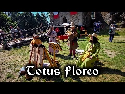 𝕰𝖑𝖙𝖍𝖎𝖓 - Totus floreo (LIVE)