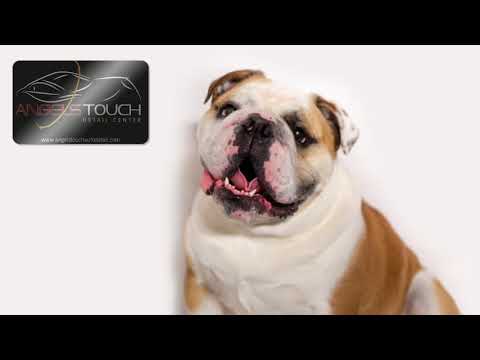 Angels Touch | YouTube Promotion