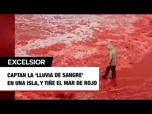 Youtube Imagen