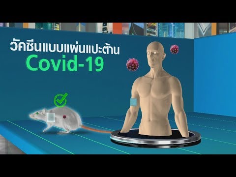 คลิกเพื่อดูคลิปวิดีโอ