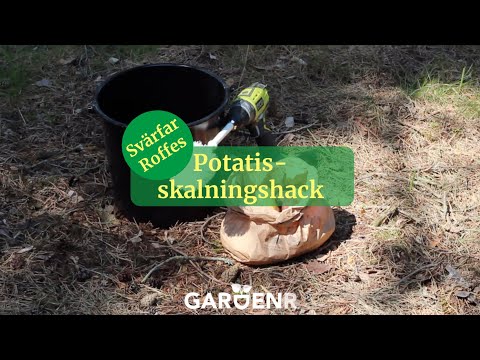 Snabbaste sättet att skala potatis - Trädgårdshacks med GardenR
