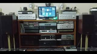 Laura Branigan - Over You