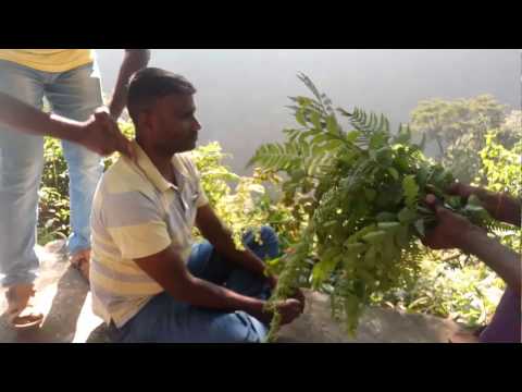 ASMR World's Greatest Head Massage,