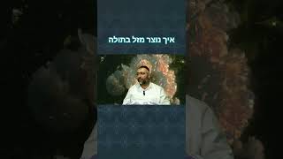 איך נוצר מזל בתולה — תשפ"ה #שיעורי_תורה #שיעור #מזלות (הרב ציון מושייב) - התמונה מוצגת ישירות מתוך אתר האינטרנט יוטיוב. זכויות היוצרים בתמונה שייכות ליוצרה. קישור קרדיט למקור התוכן נמצא בתוך דף הסרטון איך נוצר מזל בתולה — תשפ"ה #שיעורי_תורה #שיעור #מזלות (הרב ציון מושייב) - התמונה מוצגת ישירות מתוך אתר האינטרנט יוטיוב. זכויות היוצרים בתמונה שייכות ליוצרה. קישור קרדיט למקור התוכן נמצא בתוך דף הסרטון