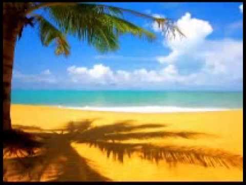 Sonido del Mar y sus Gaviotas (Sound Effects)