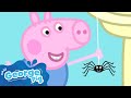 George Finds A SPIDER ️ He Scares Peppa Peppa Pig Full Episodes