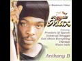 anthony B - all jah children