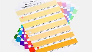 Shay Lee Hnetinka(Lee Hnetinka)