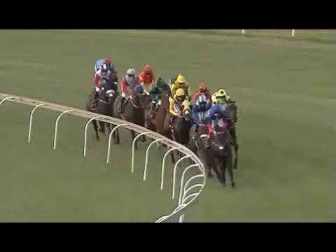 SOQRAT - 2019 H F Oppenheimer Horse Chestnut Stakes Gr1