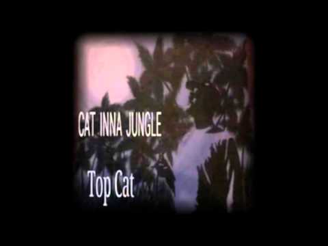 Push Up Ya Lighta (DeJedi Remix) - Top Cat