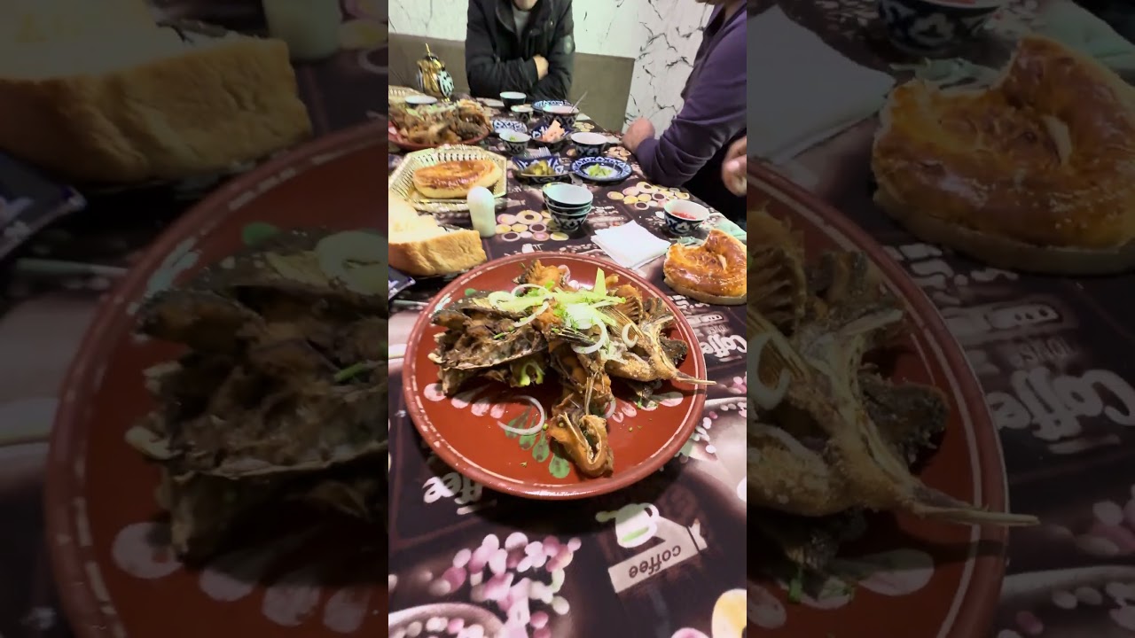 12 ноября 2025 г.