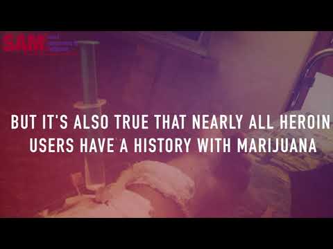 Marijuana and Opioids - A Link We Can't Ignore