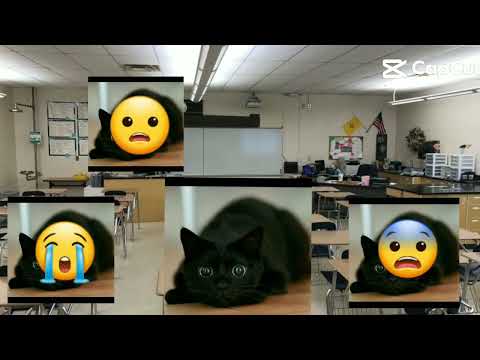 MY BROTHER IS JAMAL?!?!