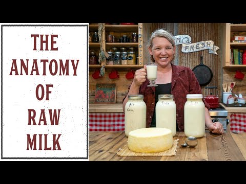 WHAT TO DO WITH RAW MILK ONCE IT'S IN YOUR KITCHEN?