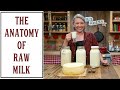 WHAT TO DO WITH RAW MILK ONCE IT S IN YOUR KITCHEN