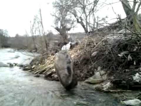 puterea 4x4 din cetateni