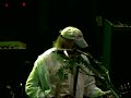 Sun Green  -  Neil Young & Crazy Horse  -  2004