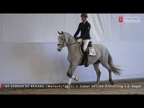 Katalog Nr. 1 Coeur de Renard