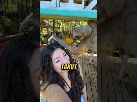 Apa NAMA HEWAN INI❓❓#hewanlucu #videoviral #hewan