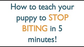 ⭐⭐⭐ How to Train a Puppy not to Bite
