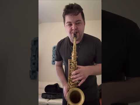Phil Barone Alto Saxophone w/ Accessories image 7