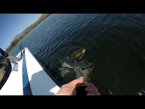 GoPro: Jeff Carpenter - Best Catch 5.29.15 - Fish