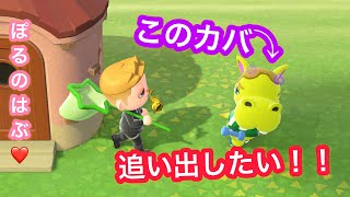 (あつ森)ちょっと顔があれな住人をおいだしたい！！