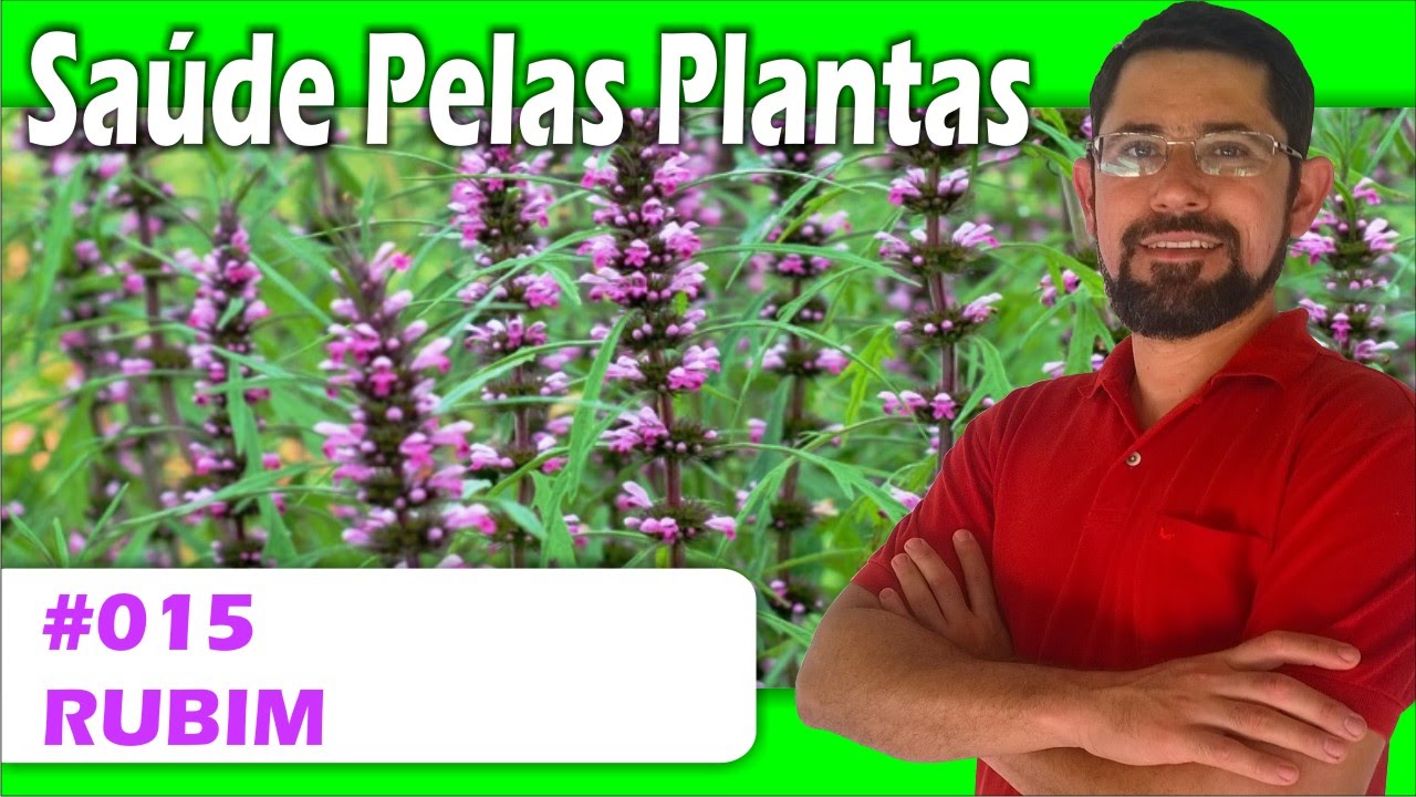 Saúde pelas Plantas - Rubim [circulação, trombose, cardíaca, digestiva, antibiótica]