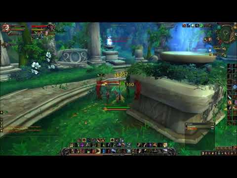 Sanndylee - WoW BfA 8.0 PvP Arena Survival Hunter