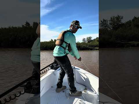 🎣 PESCA DE SURUBÍ | Pesca en Villa Urquiza, Entre Ríos