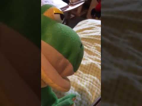 froggy the gamerfrog x pro game console 800 in 1 Important Update Video !!!