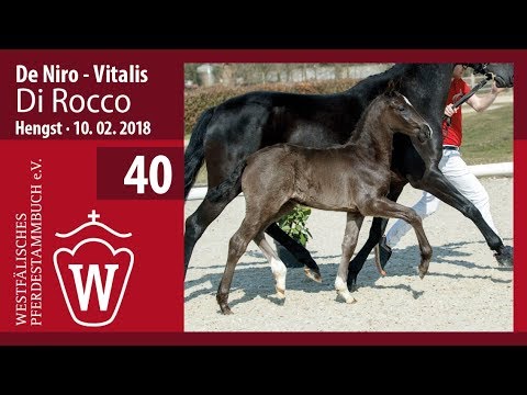 40 Di Rocco HF v. De Niro - Vitalis