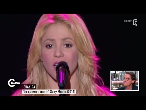 Francis Cabrel sur les reprises de "Je l'aime à mourir" - C à vous - 27/04/2015