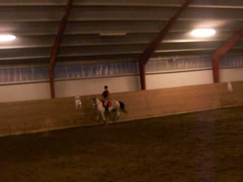 Linn och Winnetoo Svenne träning