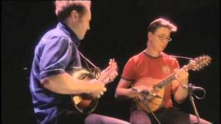 Memory of music - folk instrument videos (part 12)