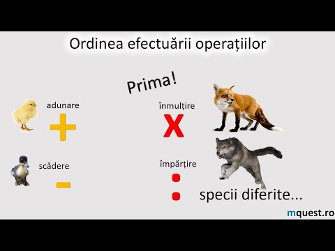 Ordinea efectuarii operatiilor, matematica clasa a V-a