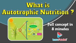 Class 10 Science Life Processes - What is Autotrophic Nutrition? - LearnFatafat