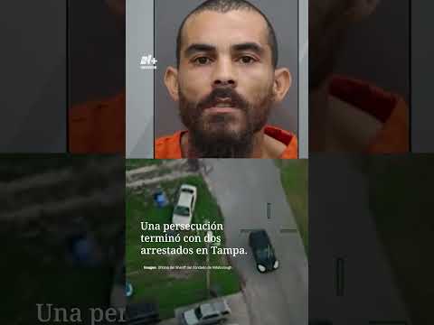 Arrests Tampa