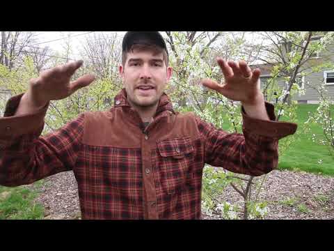 YouTube video about: Will cardboard boxes protect plants from frost?