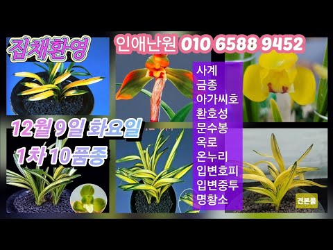 유튜브 썸네일