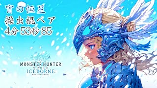 【モンハンアイスボーン】宵の恒星 操虫棍 ペア 04'53"85【ジャッジメント前】